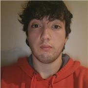 Insegnante privato con buone basi di matematica liceale